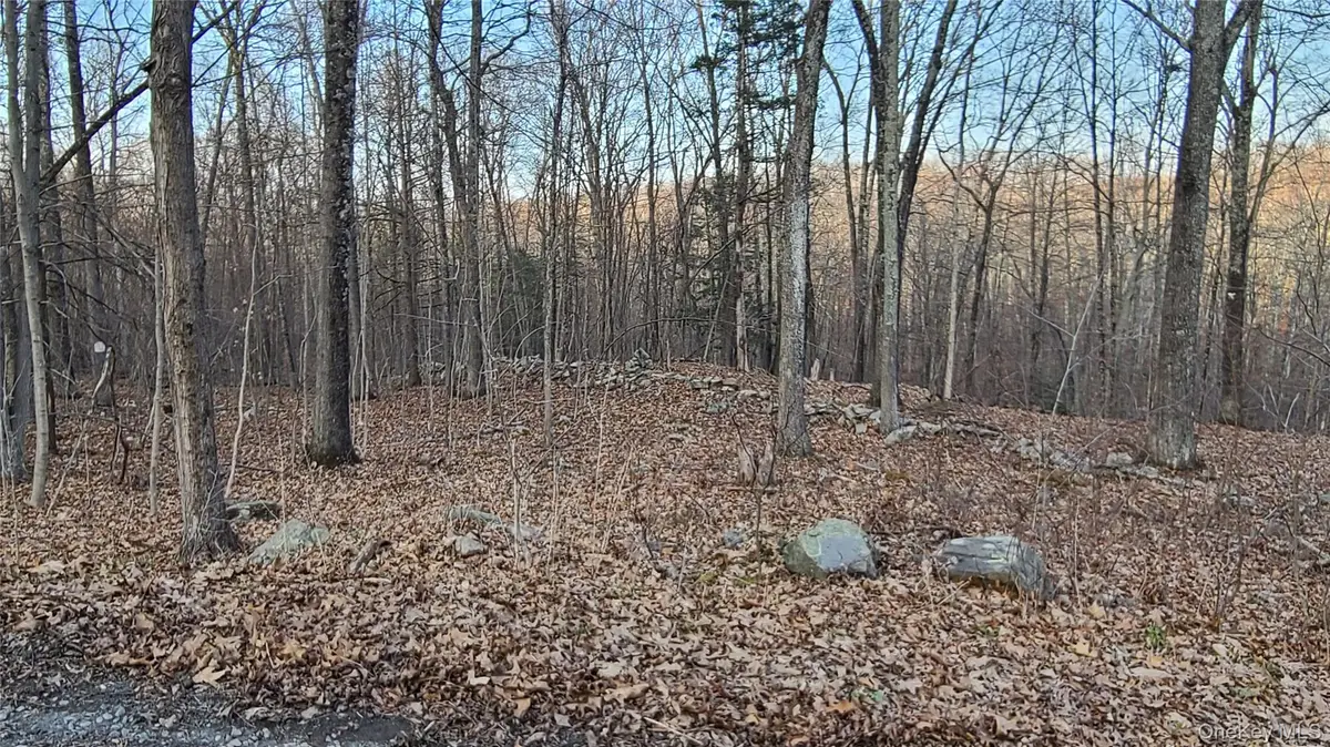 TBD Hawleys Corner Road, Highland, NY 12528 - Image #1