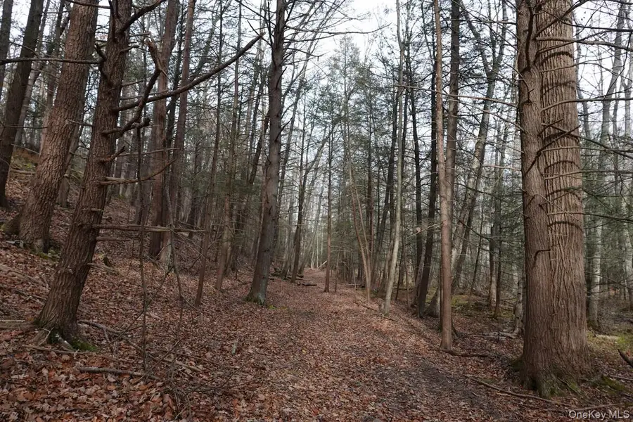 738 Manorville Road, Saugerties, NY 12477 - Image #3