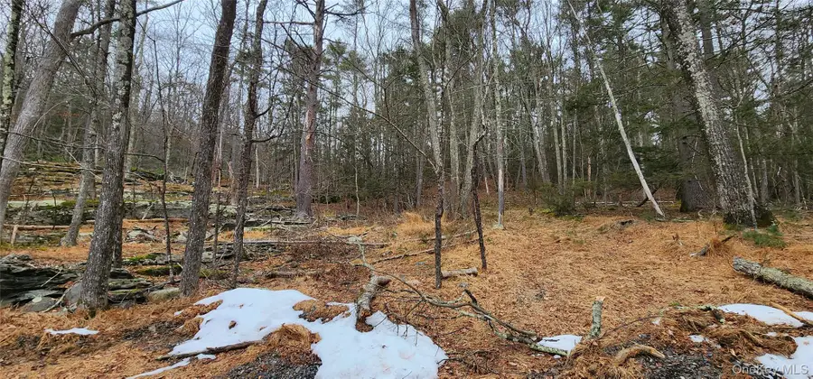 Deer Hill Road, Wurtsboro, NY 12790 - Image #3