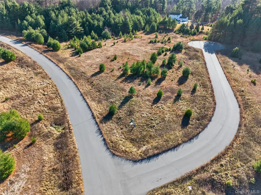 Marsh Road, Fallsburg, NY 12733 - Image #2