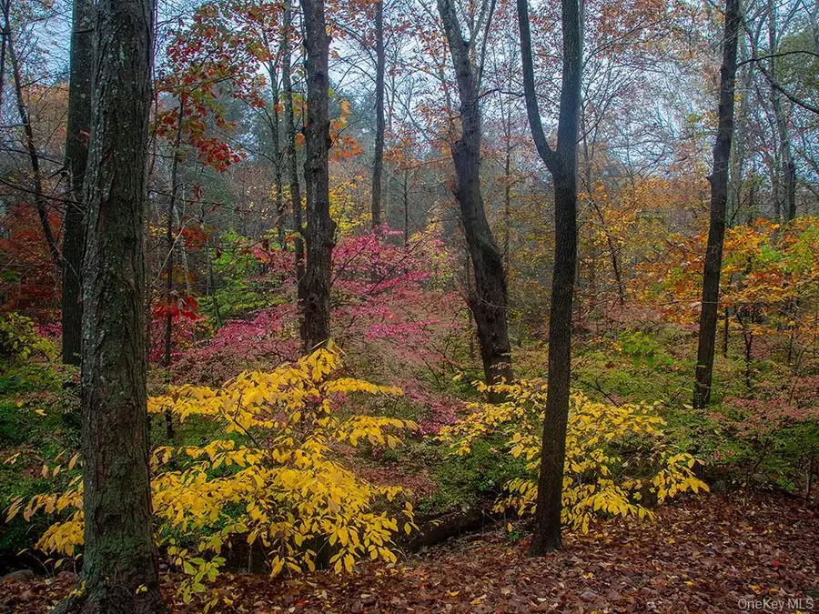 3 Chapin Trail, White Lake, NY 12786 - Image #2