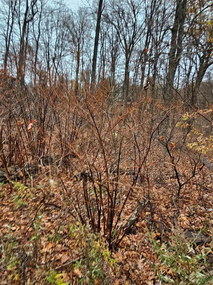 73 Sylvan Trail, Mountain Lodge Park, NY 10950 - Image #3