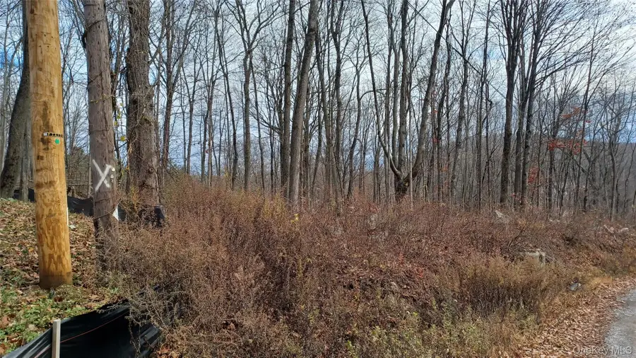 4 Prout Lane, Stormville, NY 12582 - Image #2