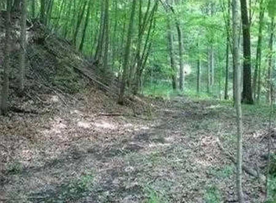 6 Thompson Drive, Staatsburg, NY 12580 - Image #3