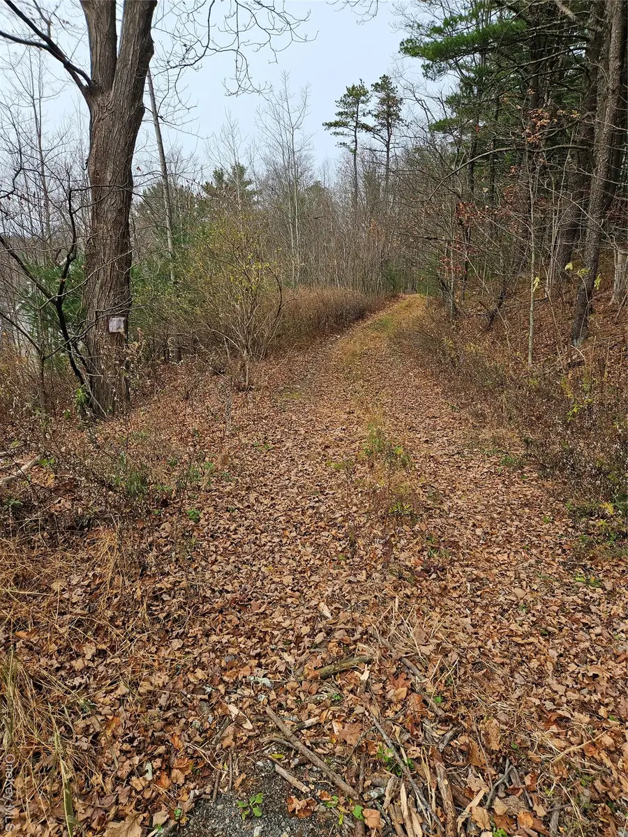 23 Gardner Drive, Port Jervis, NY 12771 - Image #3