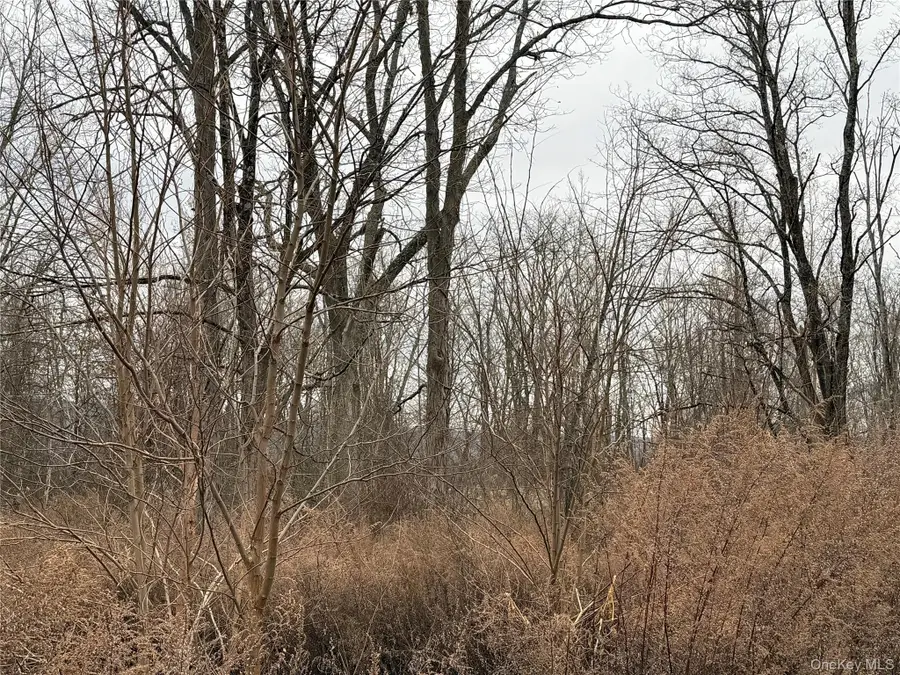 16 Knights Lane, Warwick, NY 10990 - Image #3