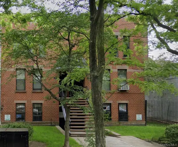 46 President Street #1 (Garden), Brooklyn, NY 11231