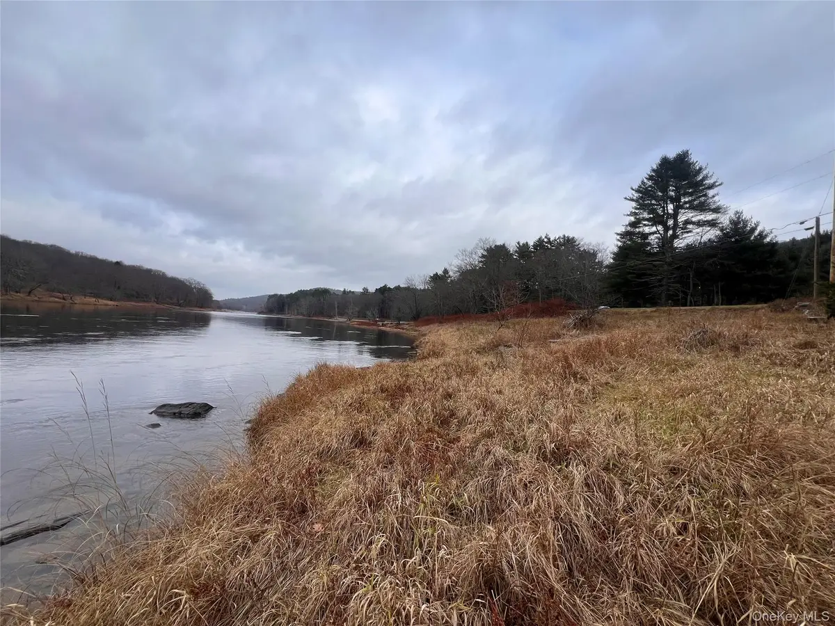 Hankins Rd, Narrowsburg, NY 12764 - Image #1