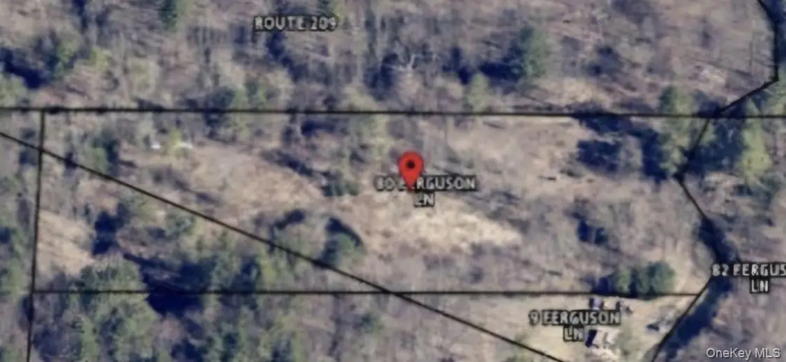 358/80 Ferguson Lane, Wurtsboro, NY 12790 - Image #1