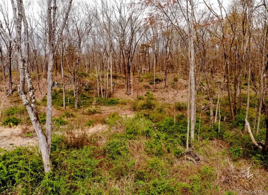 Wappingers Farm Estates, Lot 9, Robinson Lane, Wappingers Falls, NY 12590 - Image #2