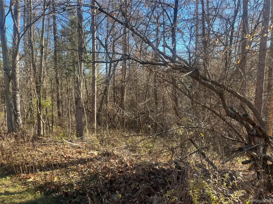 12 Pioneert, Copake, NY 12516 - Image #3