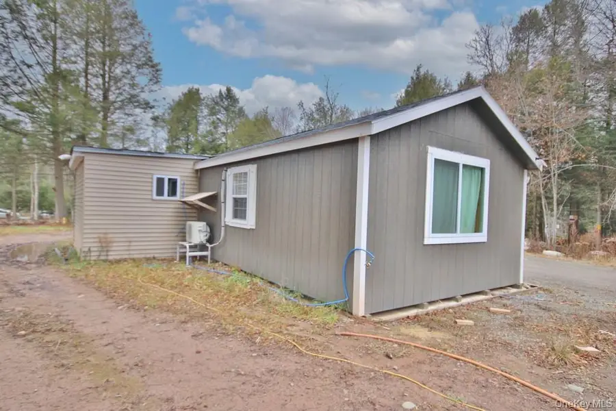 703 Dahlia Road, Livingston Manor, NY 12758 - Image #3