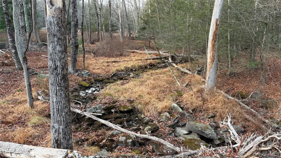 X Aldrich Road, Wurtsboro, NY 12790 - Image #3