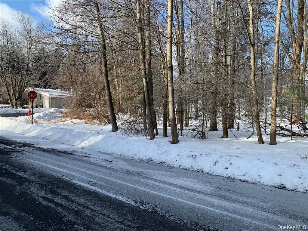 Floral Drive, Monticello, NY 12701 - Image #1