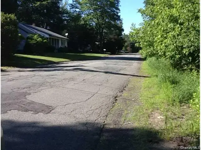 Floral Drive, Monticello, NY 12701 - Image #3