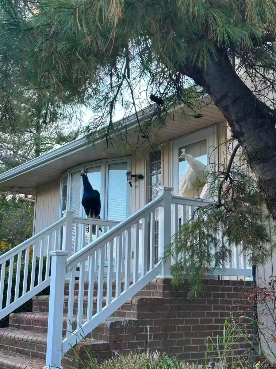 59 Hazelwood Drive, Jericho, NY 11753 - Image #3