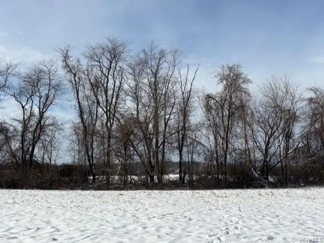 Maizeland Road, Lot 1b, Red Hook, NY 12571 - Image #2