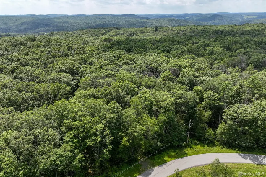 Lot 69 Cushetunk Drive, Cochecton, NY 12726 - Image #2