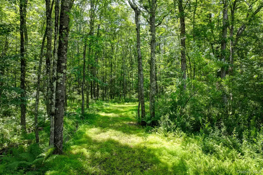 Lot 69 Cushetunk Drive, Cochecton, NY 12726 - Image #3