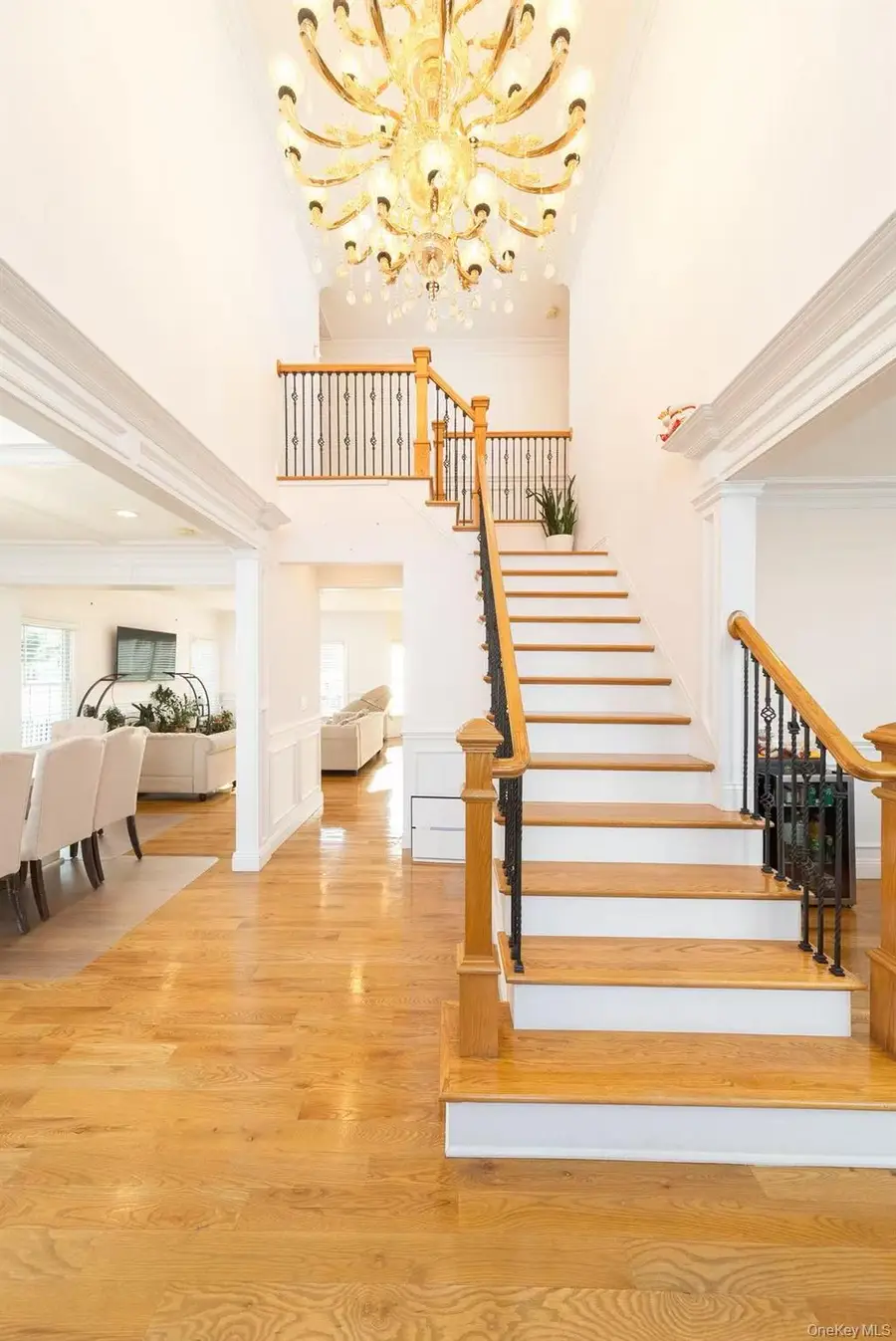 157 Evans Avenue, Albertson, NY 11507 - Image #2