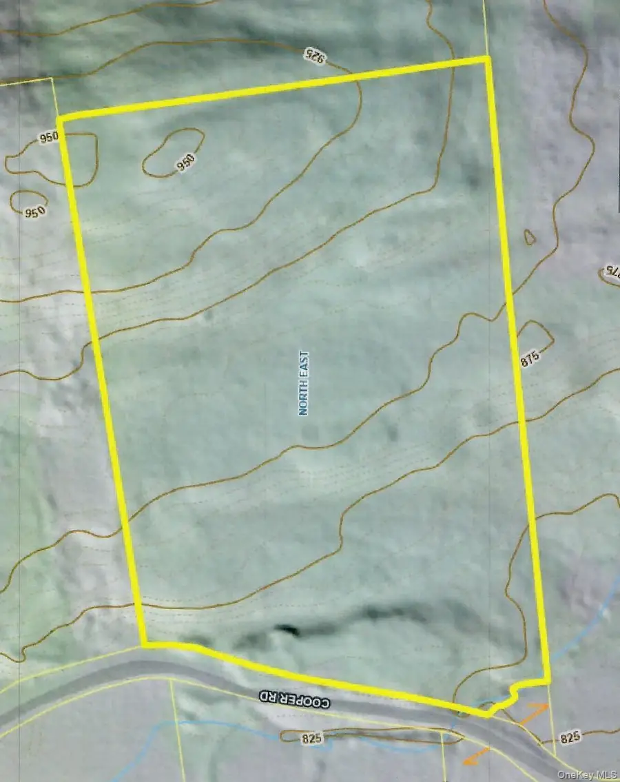 124 Cooper, Millerton, NY 12546 - Image #3