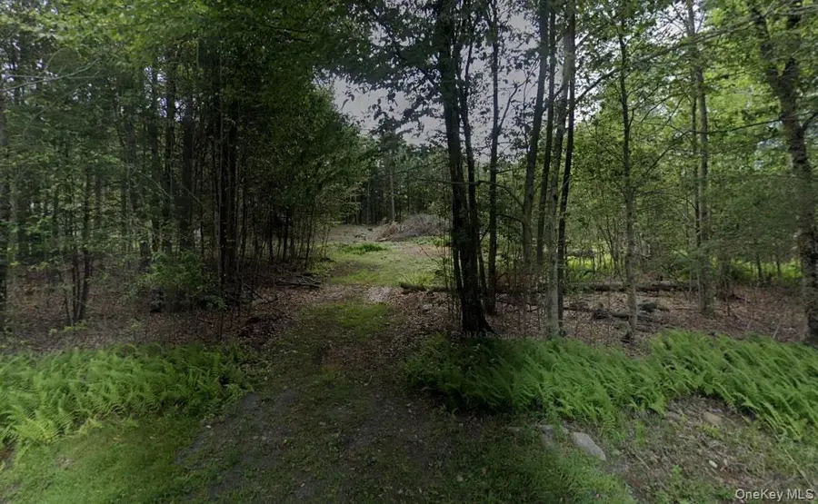 TBD Drake Road, Neversink, NY 12765 - Image #2