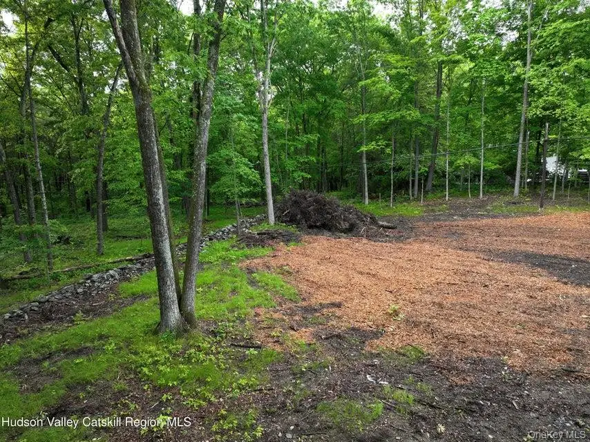 154 Forest Hill Drive, Kingston, NY 12401 - Image #2