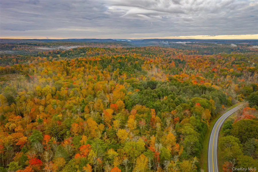 1315 Sackett Lake Rd, Forestburgh, NY 12777 - #2