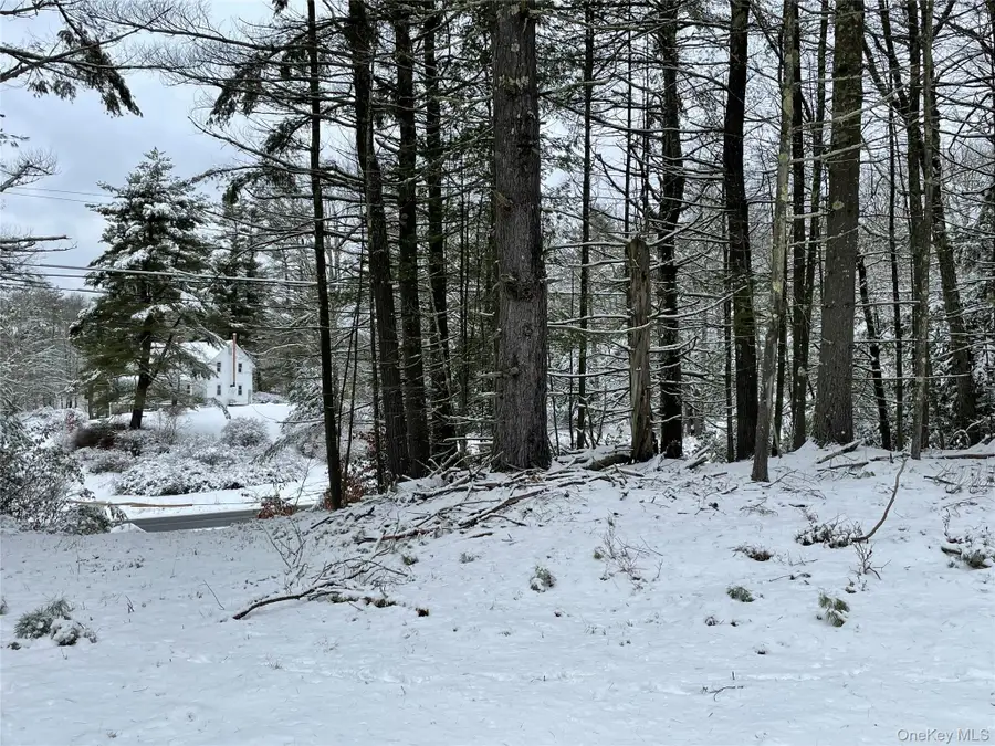 1315 Sackett Lake Rd, Forestburgh, NY 12777 - #3