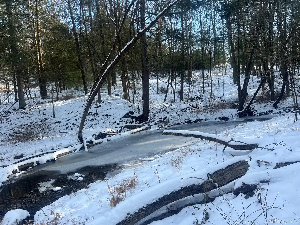 26 Mossy Brook Road, High Falls, NY 12440 - Image #1