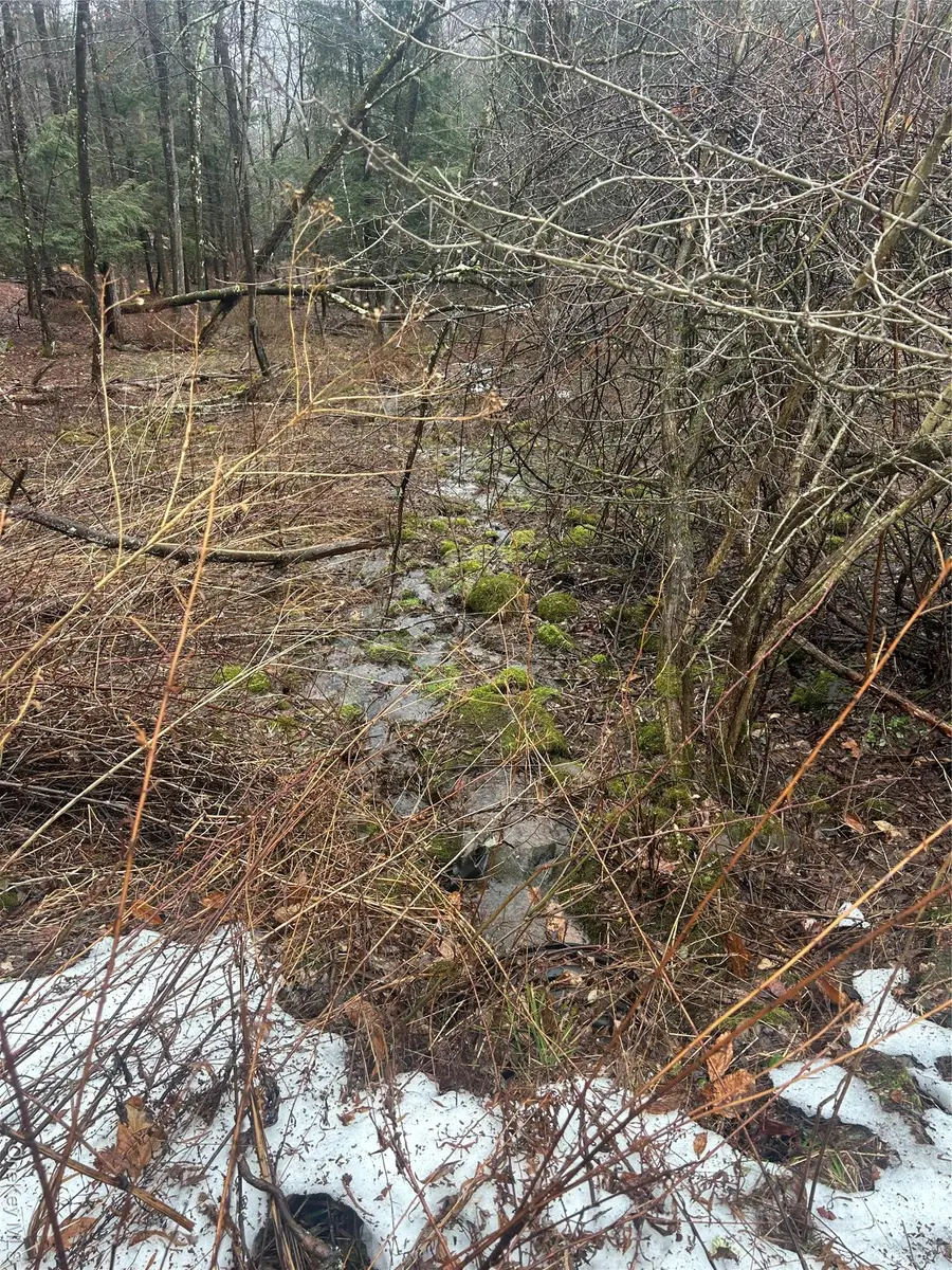 395 Back Shandelee Road, Livingston Manor, NY 12758 - #2