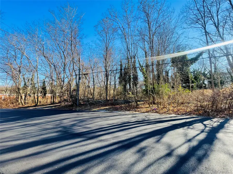 VL Meadowmere Avenue, Mastic, NY 11950 - Image #3