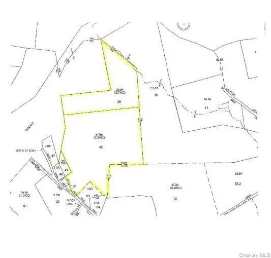 Greeley Road /rte 27, Craryville, NY 12521 - #3