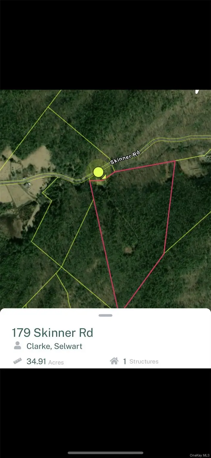 95 Skinner Road, Wurtsboro, NY 12790 - Image #3