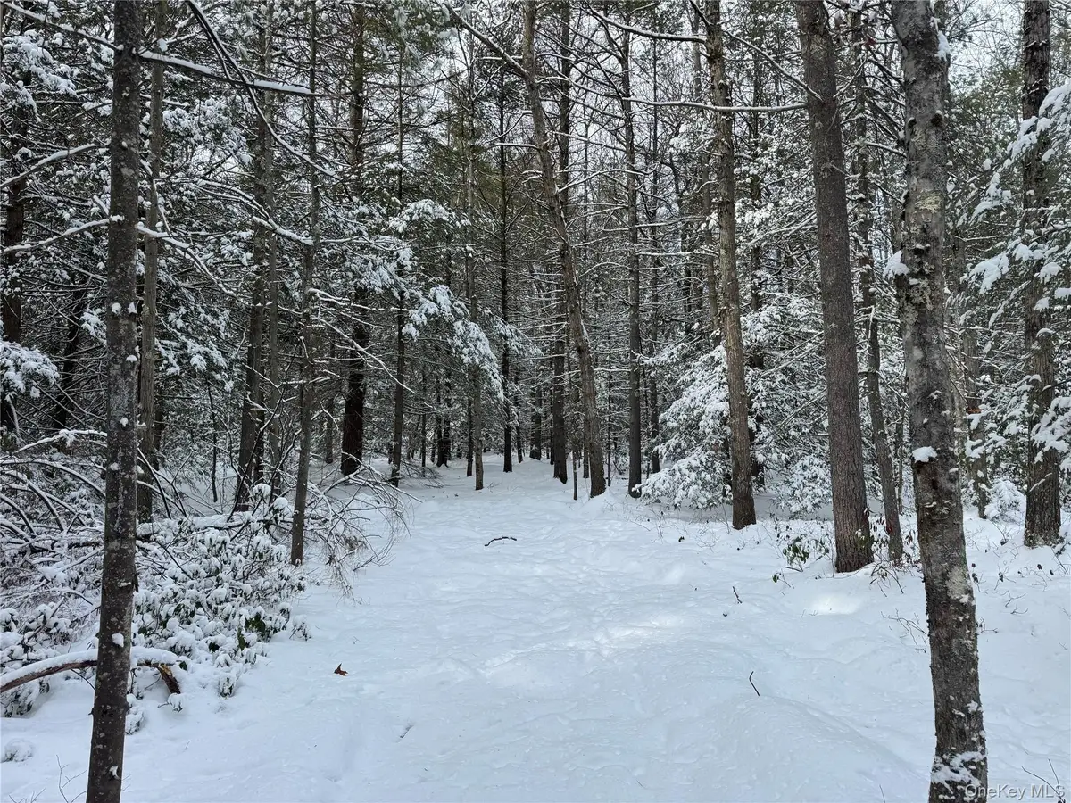 171 Renner Road, Mountain Dale, NY 12763 - Image #1