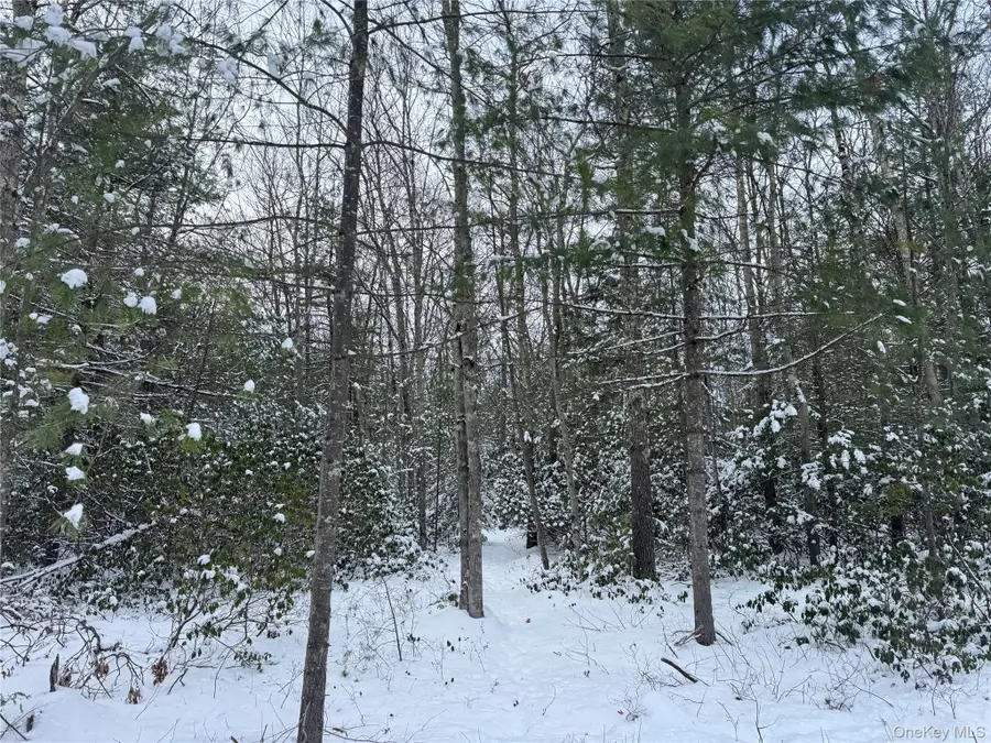 171 Renner Road, Mountain Dale, NY 12763 - Image #2