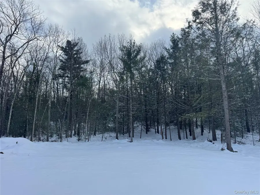 171 Renner Road, Mountain Dale, NY 12763 - Image #3