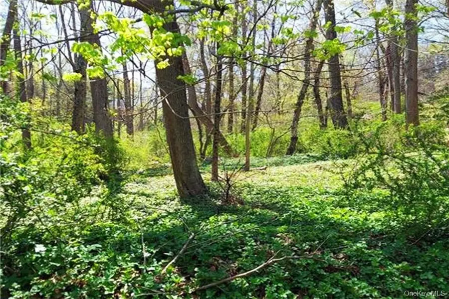 Pine Road & Pepperidge Road, Tuxedo Park, NY 10987 - Image #2