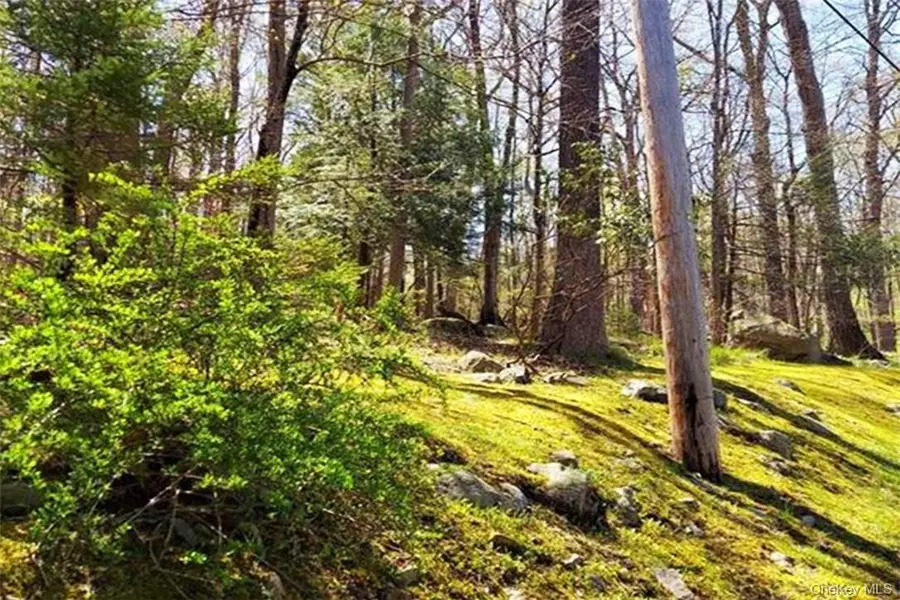 Pine Road & Pepperidge Road, Tuxedo Park, NY 10987 - Image #3