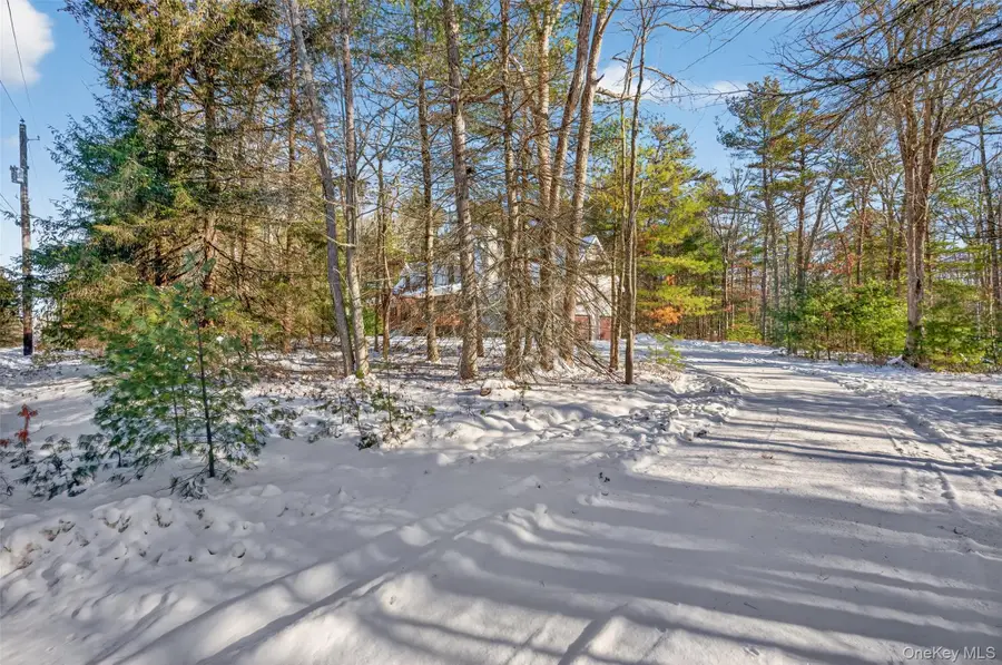 131 Ozeriany Road, Glen Spey, NY 12719 - #2