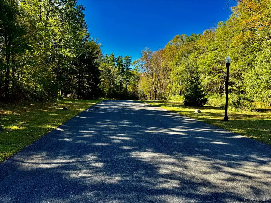 44 Falling Waters Drive, Palenville, NY 12463 - Image #2