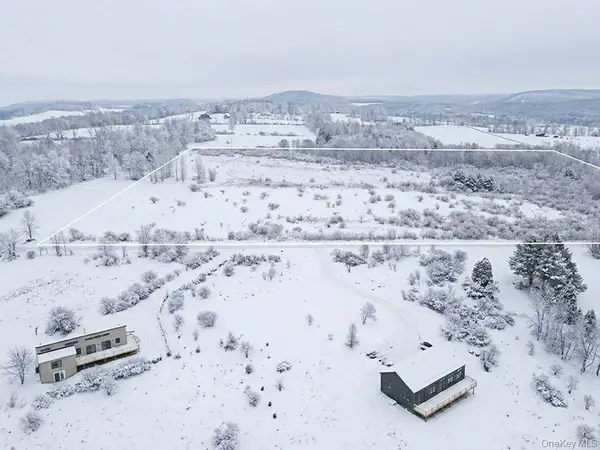 625 Beechwoods Road, Callicoon, NY 12723