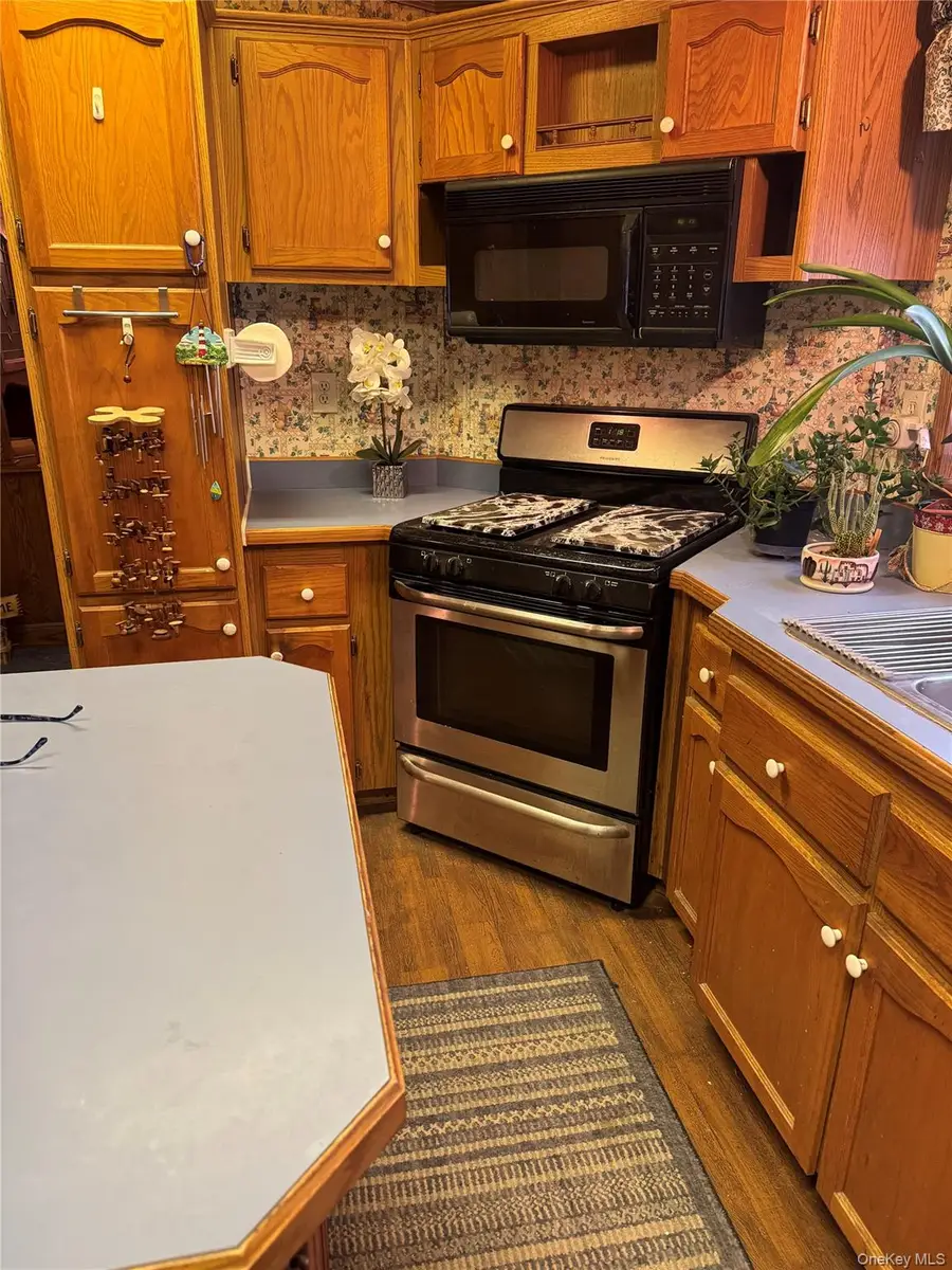 165 Benton Hollow Road, Livingston Manor, NY 12758 - Image #2