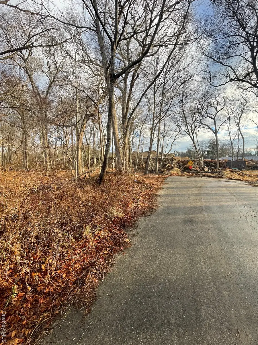 0 Daniel Lane, Middle Island, NY 11953 - Image #2