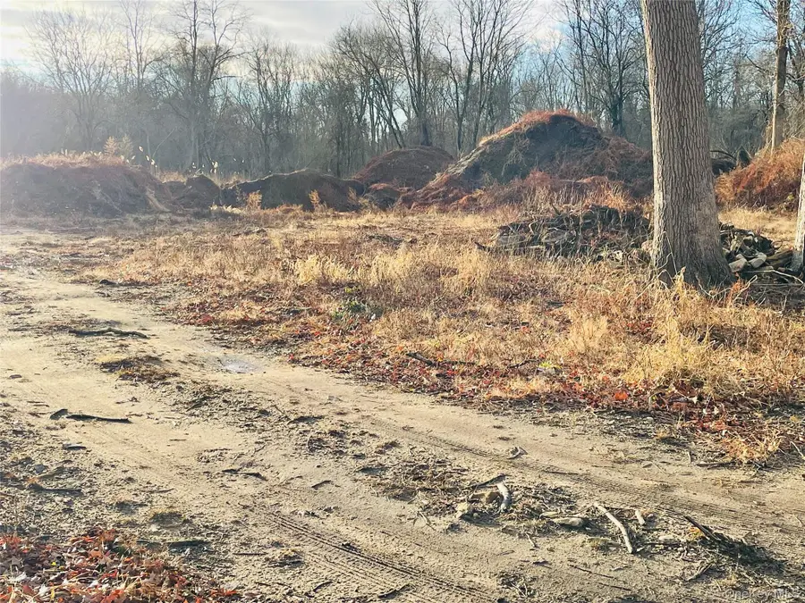 0 Daniel Lane, Middle Island, NY 11953 - Image #3