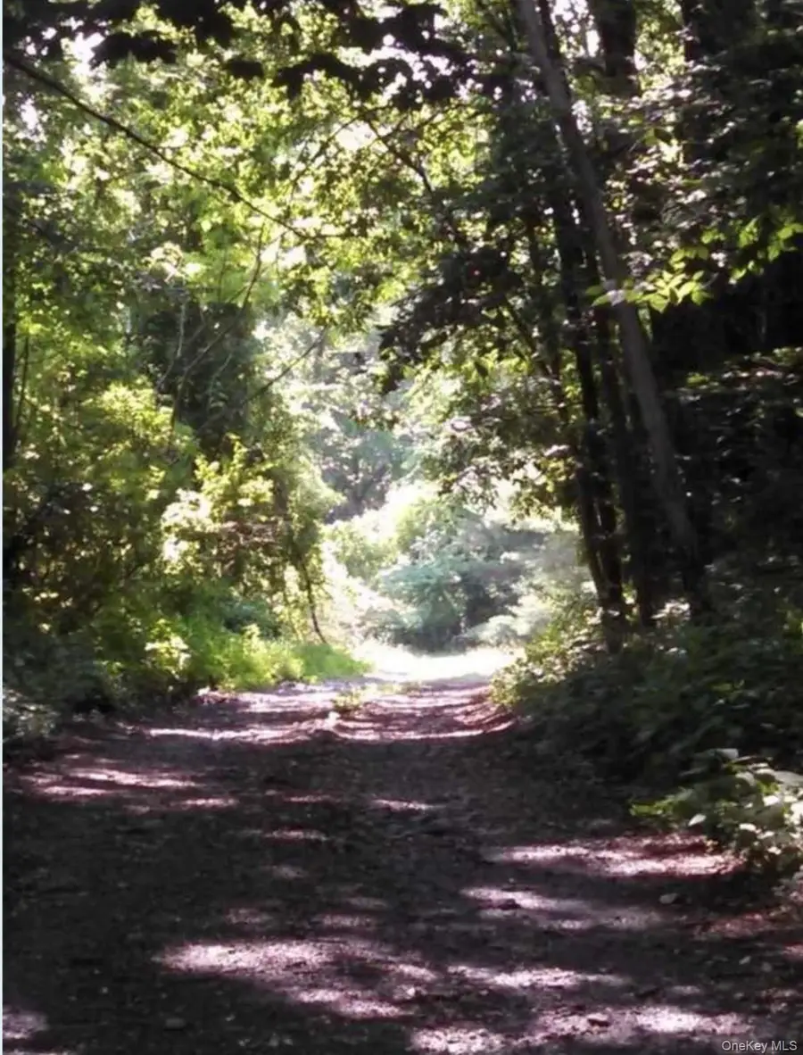 17 Crow Hill Lane, Rhinebeck, NY 12572 - Image #3