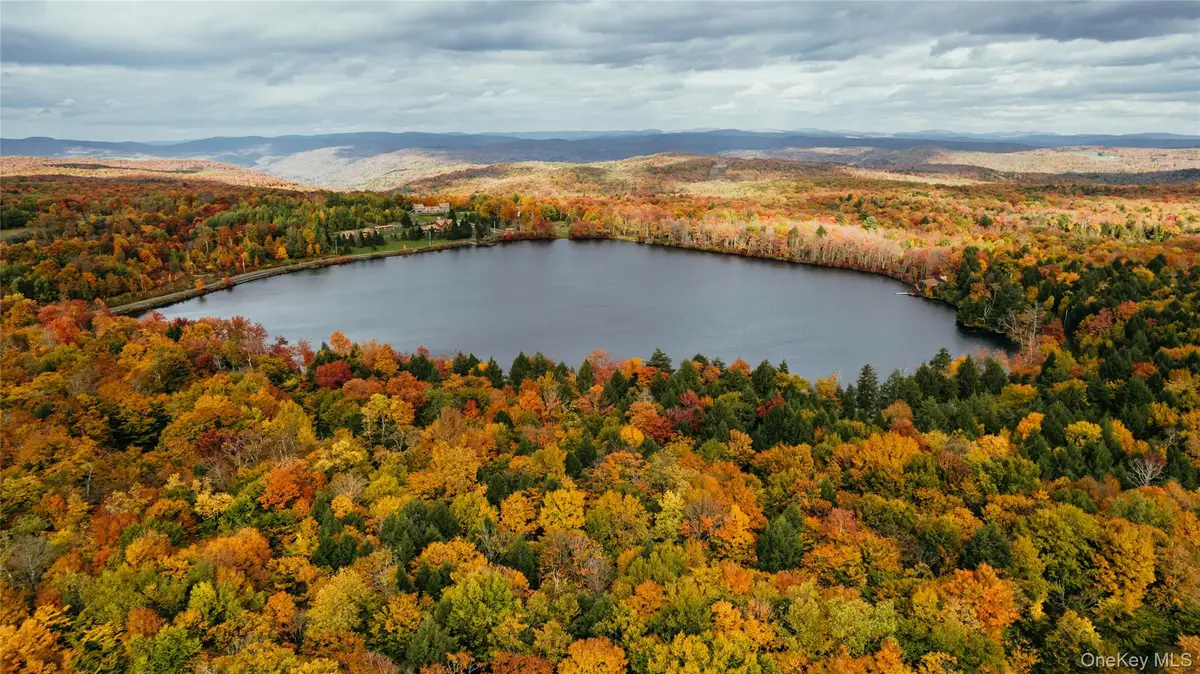 LOT 10 Wood Lake Trail, Callicoon Town, NY 12736 - #1