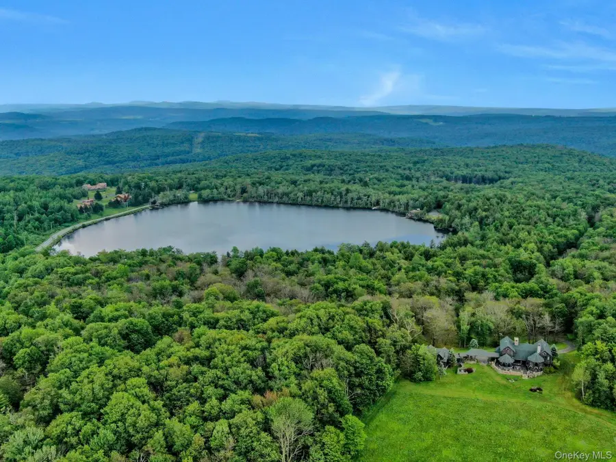 LOT 10 Wood Lake Trail, Callicoon Town, NY 12736 - #2