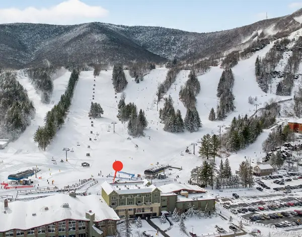 64 Klein Avenue #507, Hunter, NY 12442