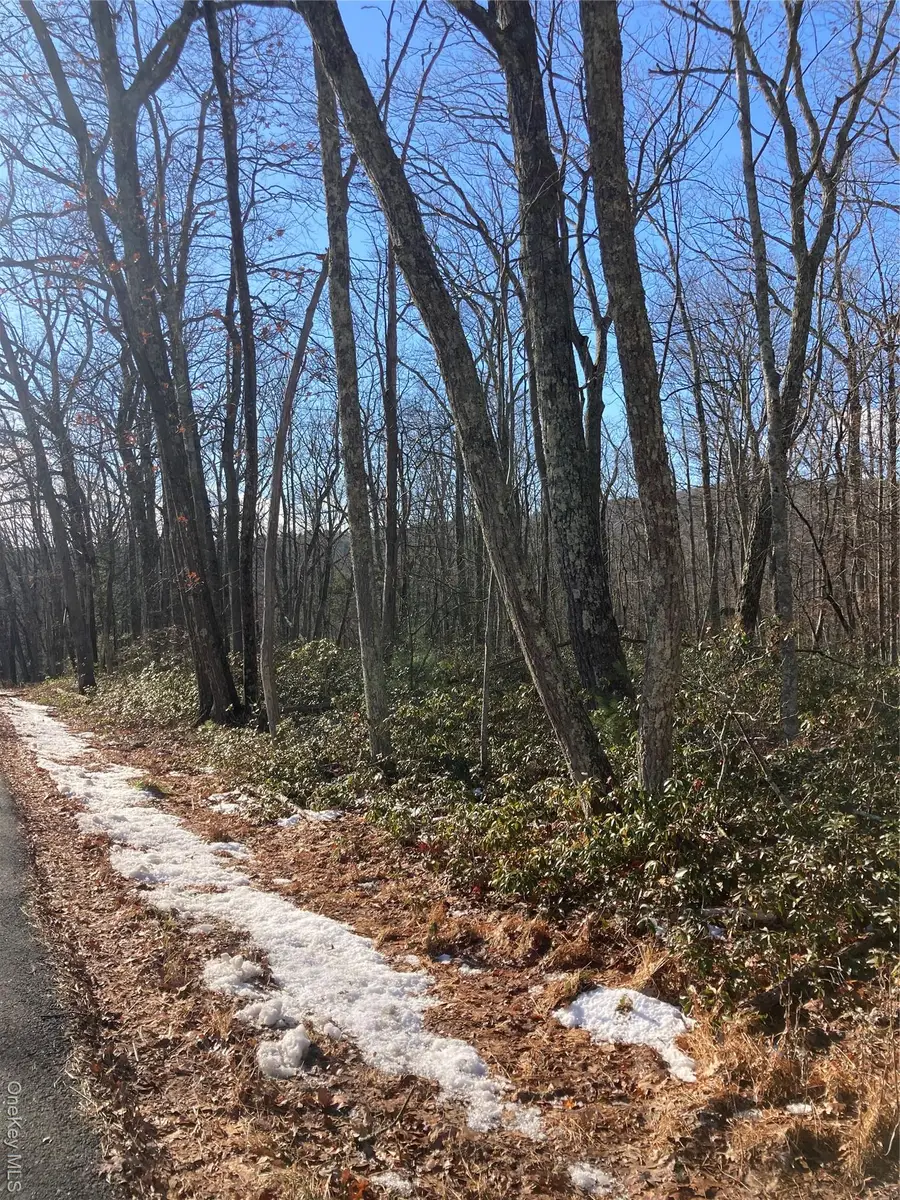 00 Hoeppner Drive, Wurtsboro, NY 12790 - #3